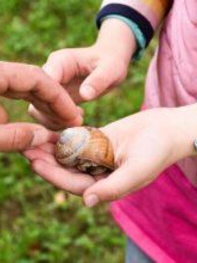 Ein Kind hält eine große Schnecke in den Händen. Eine Hand berührt sanft die Schnecke. | © Rebecca Steinbauer
