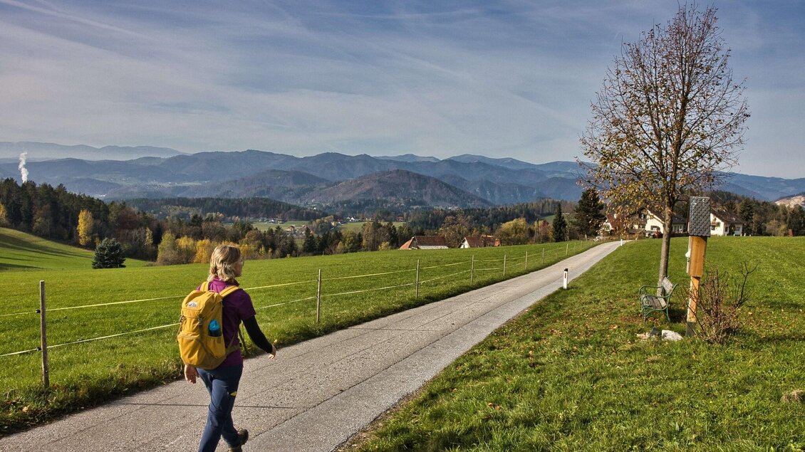 Frau wandert auf Asphaltweg mit Blick auf Hügel und Dörfer bei Gratwein. | © WEGES
