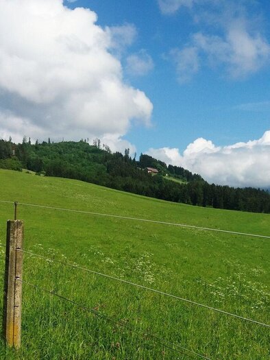 Grünes Almgebiet mit Blick auf bewaldete Hügel bei Graden in der Weststeiermark. | © Erlebnisregion Graz-Heinz Kaltschmidt