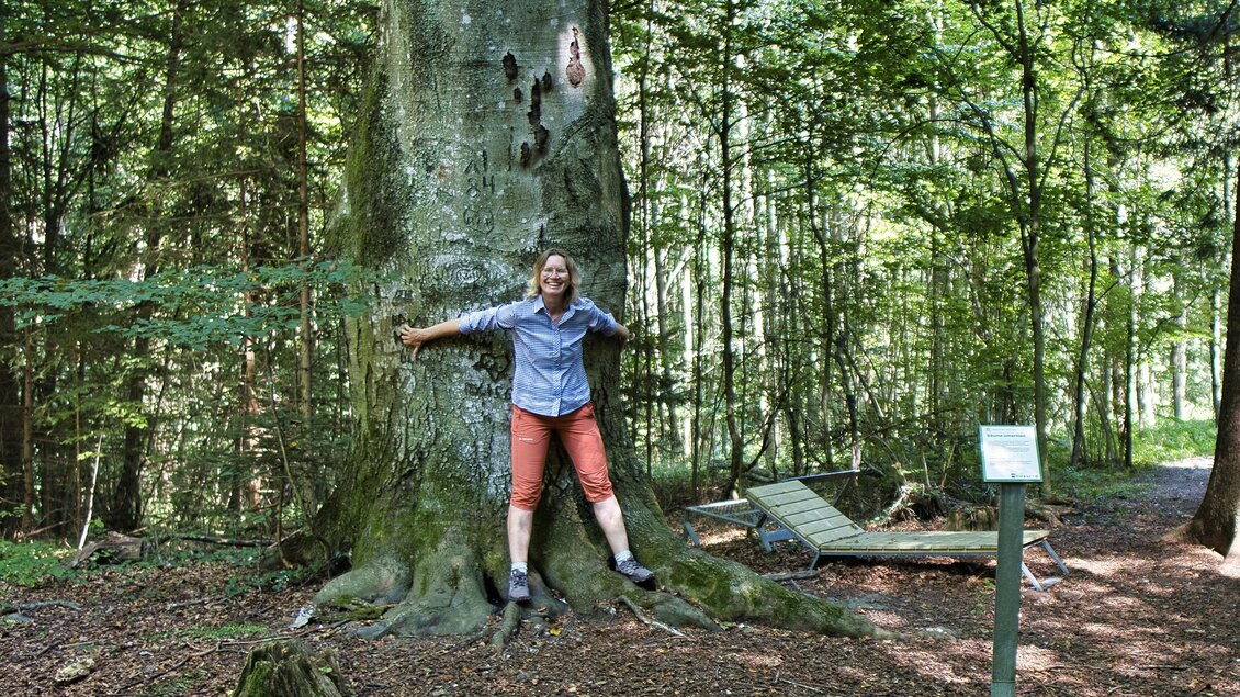 Wanderin steht mit ausgebreiteten Armen vor einem mächtigen Baumstamm im Wald bei Laßnitzhöhe. Daneben eine Infotafel und Liegen. | © Weges