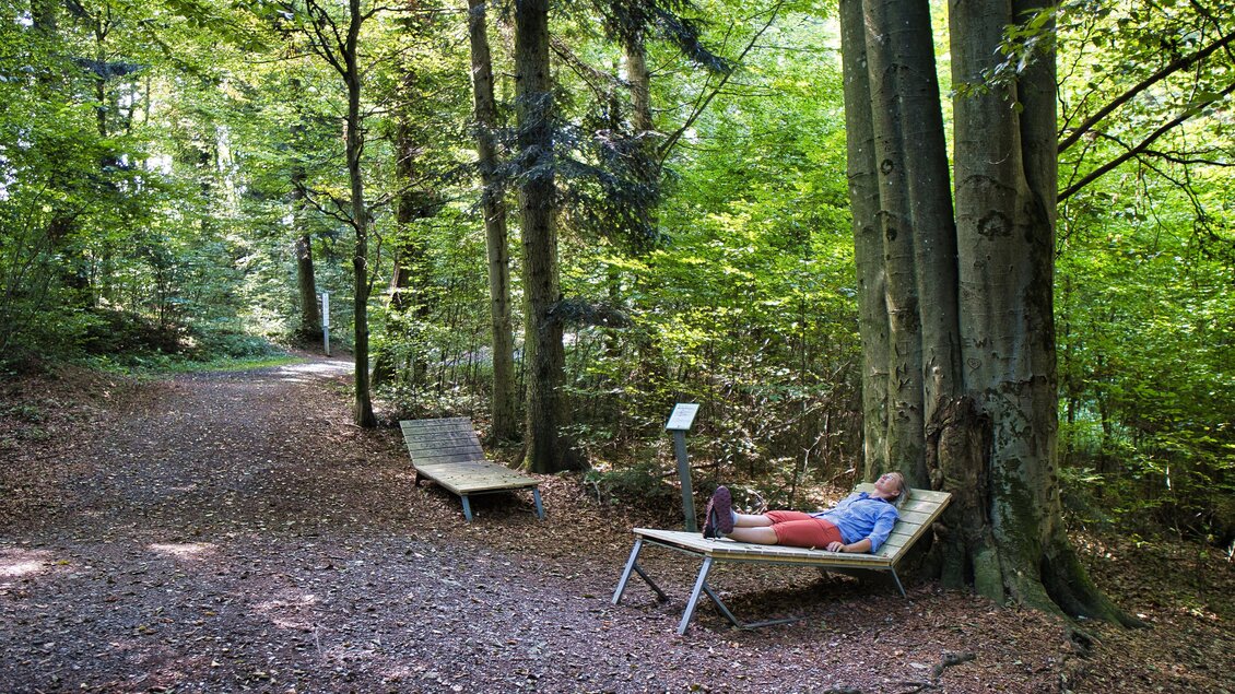 Eine Frau ruht auf einer Holzliege unter Bäumen am Waldweg bei Laßnitzhöhe. Daneben stehen eine zweite Liege und eine Infotafel. | © Weges