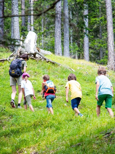 Eine Gruppe von Kindern wandert einen grünen Hügel im Wald hinauf. Die Sonne scheint und die Umgebung ist von Bäumen umgeben. | © nicoleseiser.at