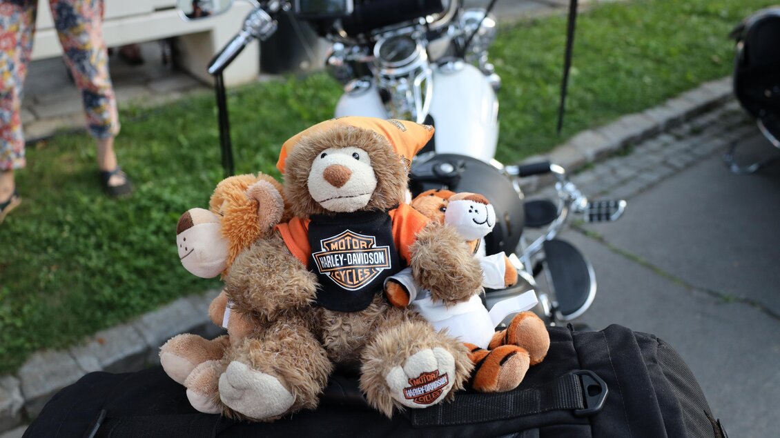 Ein paar Plüschtiere sitzen auf dem Sitz eines Motorrads. Der größte Bär trägt ein orangefarbenes T-Shirt mit einem Motorrad-Logo. | © Zehnerhaus
