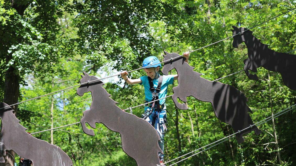 Ein Junge mit Sicherung im Kletterparcour im Kletterpark Piber, mit Baumkronen im Hintergrund | © Stefan Seiberl