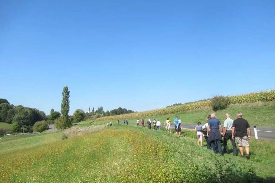 Eine Gruppe von Wanderinnen und Wanderern ist bei strahlendem Sonnenschein auf dem Johannesweg in Jagerberg unterwegs. Der Weg führt durch die sanfte Hügellandschaft, vorbei an grünen Wiesen und Feldern. | © Anna Maria Ladler