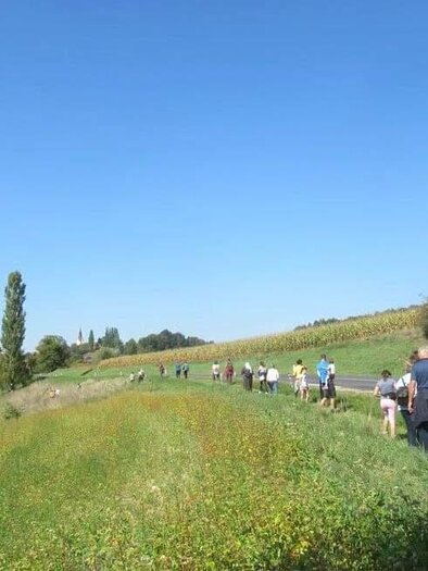 Eine Gruppe von Wanderinnen und Wanderern ist bei strahlendem Sonnenschein auf dem Johannesweg in Jagerberg unterwegs. Der Weg führt durch die sanfte Hügellandschaft, vorbei an grünen Wiesen und Feldern. | © Anna Maria Ladler