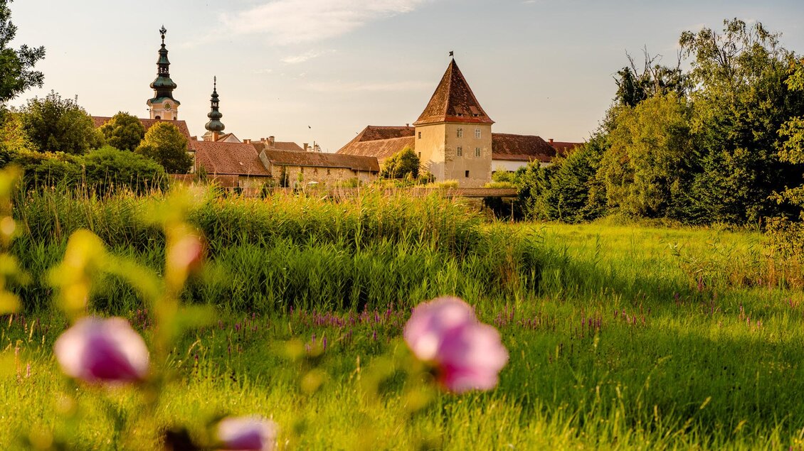 Eine grüne Wiese mit bunten Blumen im Vordergrund und einer Burg im Hintergrund. Der Himmel ist blau mit einigen Wolken. | © Wolfgang Spekner