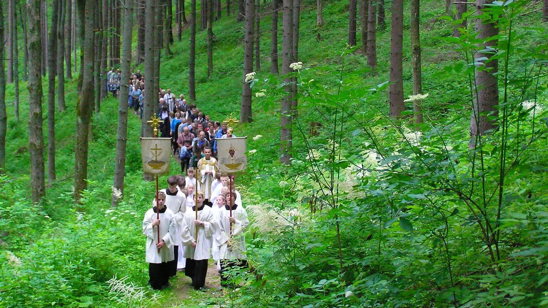 <p>Zug der Heiligen Messe zur Burgruine Hohenwang durch den Wald</p> | © Manfred Polansky