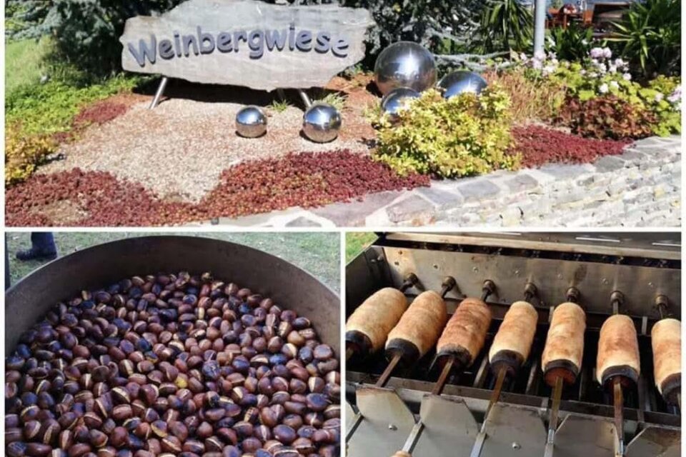 Eine Begrüßungstafel "Weinbergwiese" umgeben von Blumen und dekorativen Kugeln. Darunter sind geröstete Kastanien und Backwaren auf einem Grill zu sehen. | © Walter Patzelt
