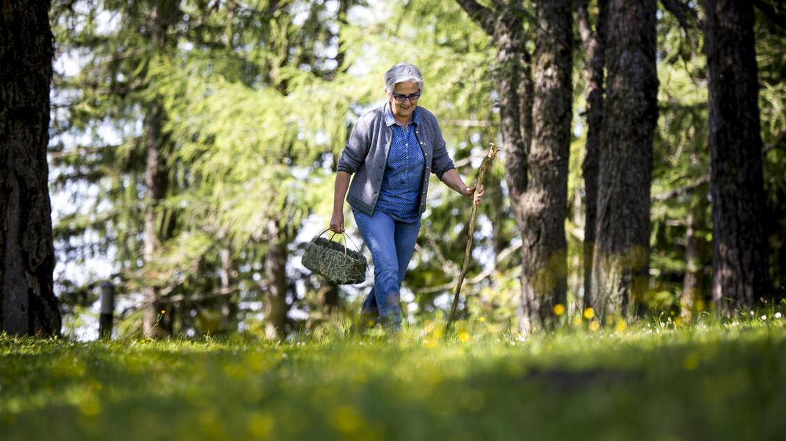 Eine ältere Frau geht durch einen Wald und trägt einen Korb. Die Umgebung ist grün mit vielen Bäumen und blühenden Wiesen. | © TV Hochsteiermark, Tom Lamm