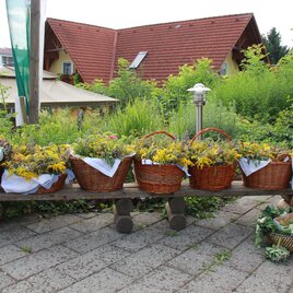Eine Holzbank mit mehreren Korbgefäßen, die mit gelben Blumen gefüllt sind. Im Hintergrund ist ein grüner Garten und ein rotes Dachhaus sichtbar. | © Notburga Meister