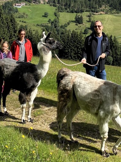 Eine Gruppe von Menschen wandert mit Lamas auf einem grünen Hügel. Die Landschaft ist idyllisch mit Bäumen und Wiesen im Hintergrund. | © Lamatouren-Gigleitner