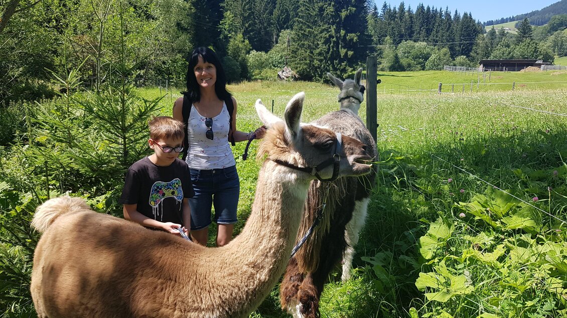Ein Kind steht neben einer Frau und zwei Lamas in einer grünen Wiese. Die Sonne scheint und Bäume umgeben die Szene. | © Lama-Touren auf der Alm-Orso_Gigleitner