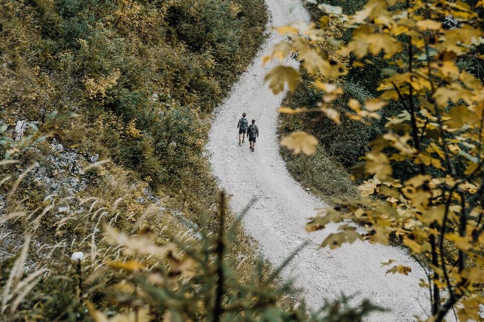 Ein gewundener Weg führt durch eine herbstliche Landschaft. Zwei Personen gehen gemächlich auf dem Weg, umgeben von bunten Blättern. | © TV Gesäuse