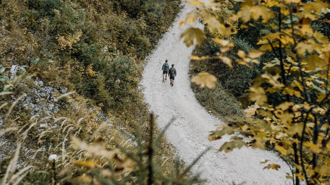 Ein gewundener Weg führt durch eine herbstliche Landschaft. Zwei Personen gehen gemächlich auf dem Weg, umgeben von bunten Blättern. | © TV Gesäuse
