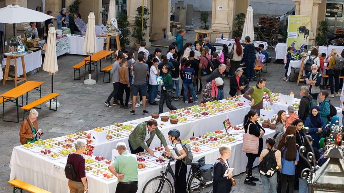 Ein belebter Markt mit zahlreichen Menschen, die frisches Obst an langen Tischen betrachten. Stühle und Sonnenschirme sorgen für eine einladende Atmosphäre. | © _c_Oliver_Wolf