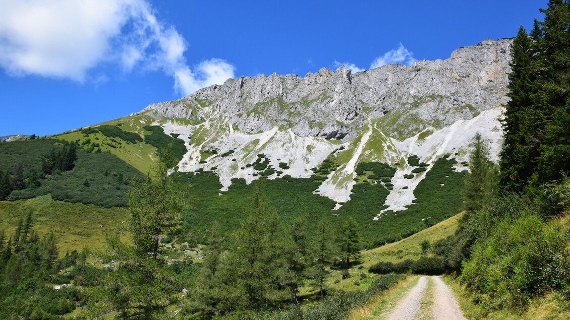 Klarer Blick auf die Hohe Veitsch-Wand. Das Bergmassiv. | © Freizeitbetriebe Veitsch