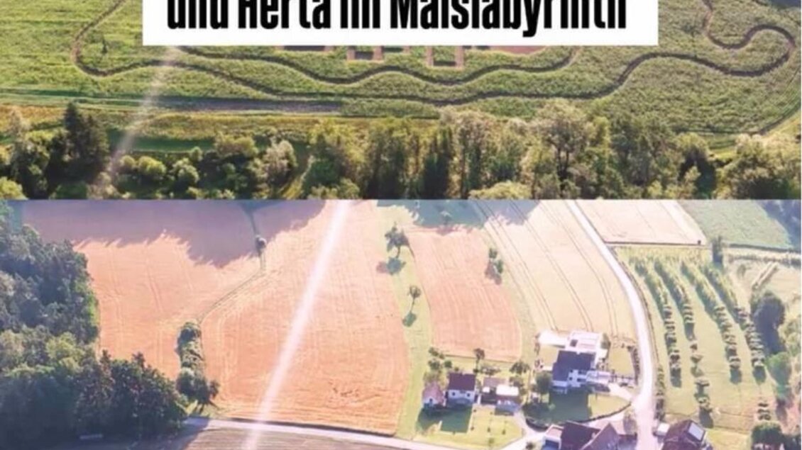 Ein Maislabyrinth mit verschiedenen Figuren und Wegen ist zu sehen. Die Ansage kündigt die Eröffnung und die kleinen Helfer Hoppel, Susi und Herta an. | © Kröpfls Lindenhof
