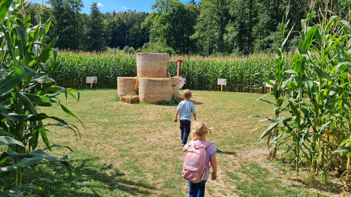 Zwei Kinder gehen durch ein Feld mit hohen Maispflanzen. Im Hintergrund sind Heuballen und Bäume zu sehen. | © Rohrhofer