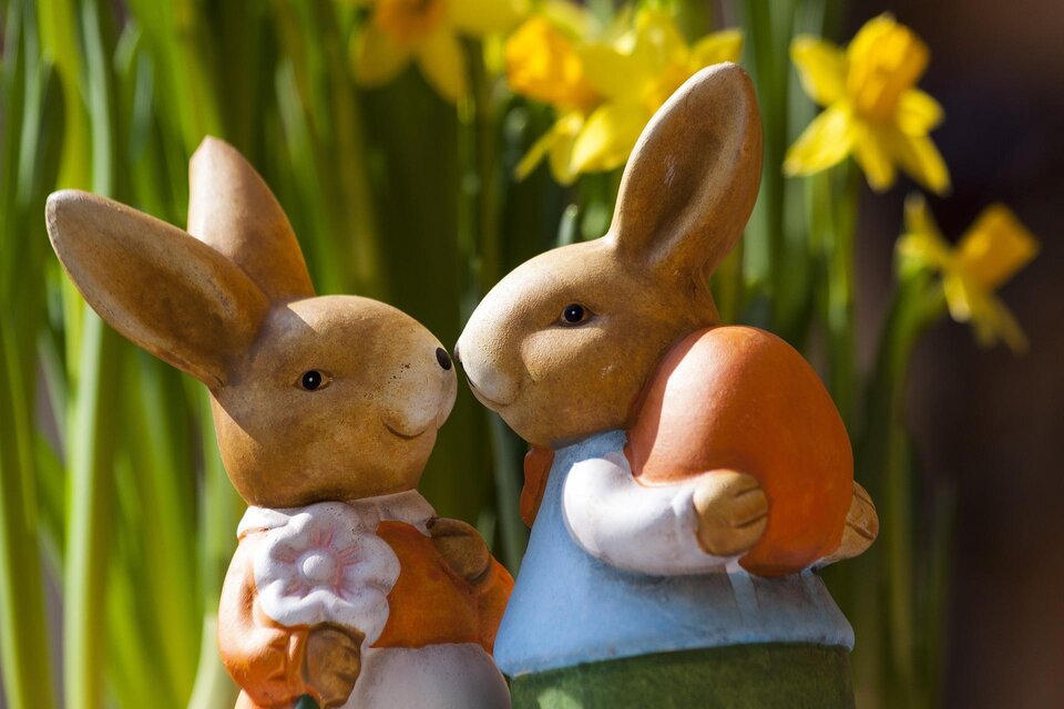 Ein Paar entzückender Osterhasenfiguren steht vor gelben Narzissen. Die Hasen sind fröhlich und tragen farbenfrohe Kleidung. | © pixabay.com