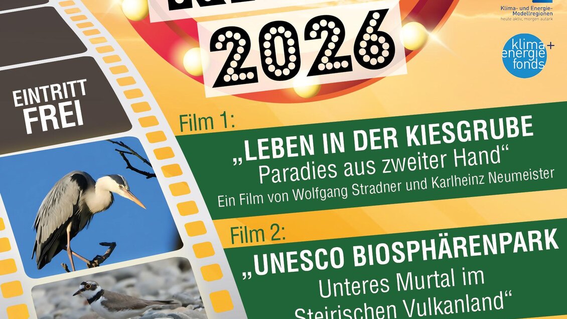 Ein Plakat für ein Sommerkino-Event in Bad Radkersburg. Es zeigt Informationen zu den Filmen und dem Veranstaltungsdatum sowie dem Ort. | © LEA GmbH