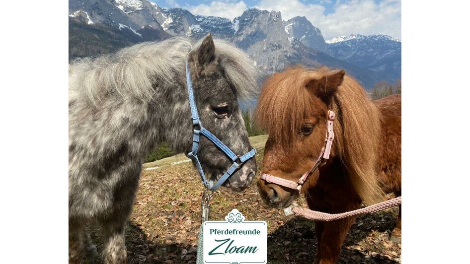 Pferdefreunde Zloam, Teenie Pony Camp | © Narzissendorf Zloam