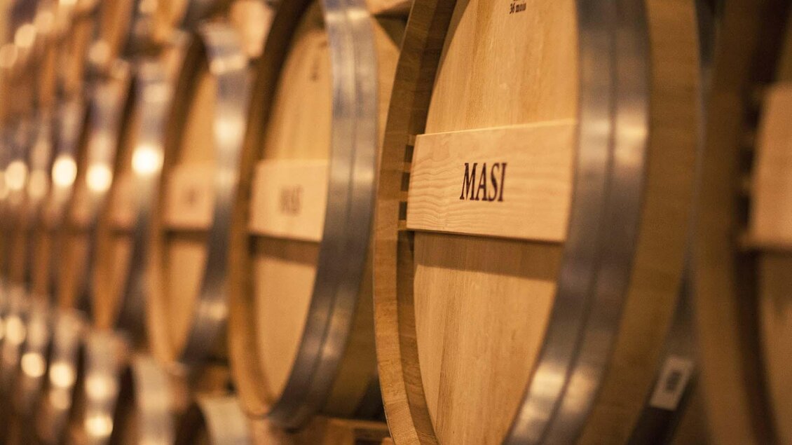 Eine Reihe von Holzfässern mit dem Namen "MASI" ist zu sehen. Die Fässer stehen eng beieinander in einem feuchten Weinkeller. | © Weingut Masi