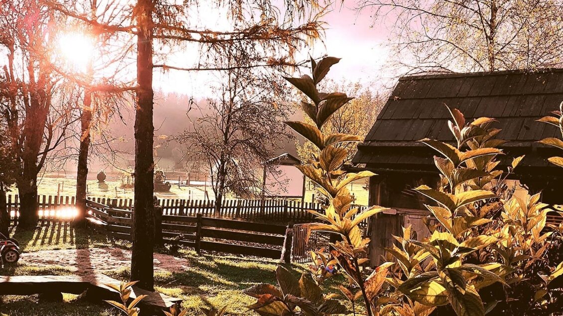 Eine malerische Landschaft mit einer Hütte, umgeben von Bäumen und grünen Wiesen. Die Sonne scheint durch die Äste und beleuchtet die Szenerie.