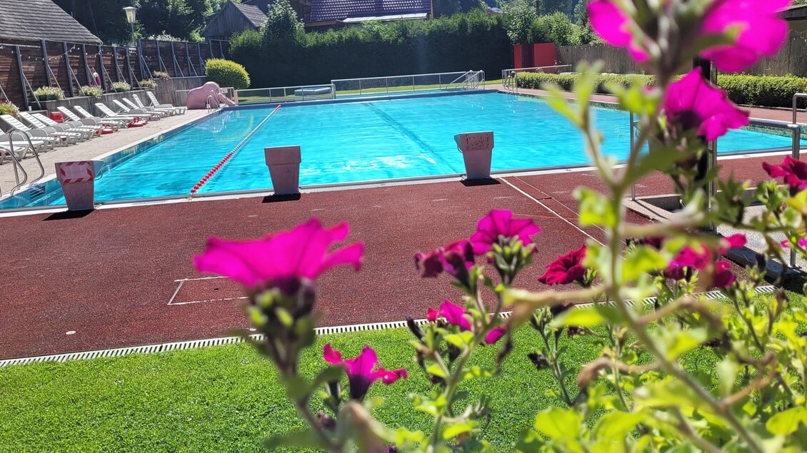 Ein einladender Swimmingpool umgeben von blühenden Pflanzen. Die Sonne scheint auf das klare Wasser und die Liegen am Beckenrand. | © Tim Fuchsberger 