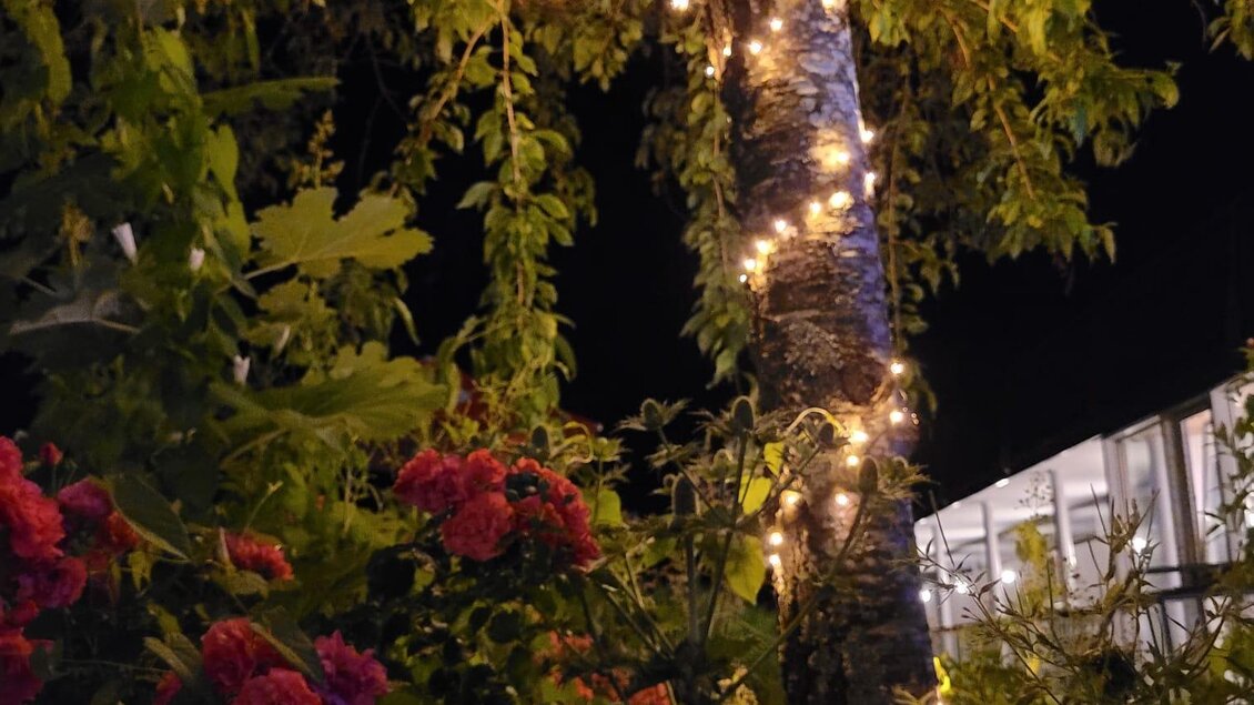 Ein schöner Baum, der mit Lichtern geschmückt ist, umgeben von bunten Blumen im Garten. Die Szene strahlt eine gemütliche Atmosphäre aus. | © Tim Fuchsberger 