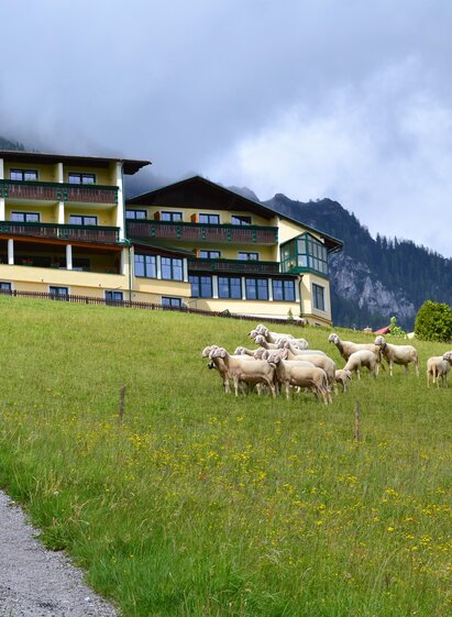 Das 3 * Superior Hotel Martin | Picasa | © Hotel Martin