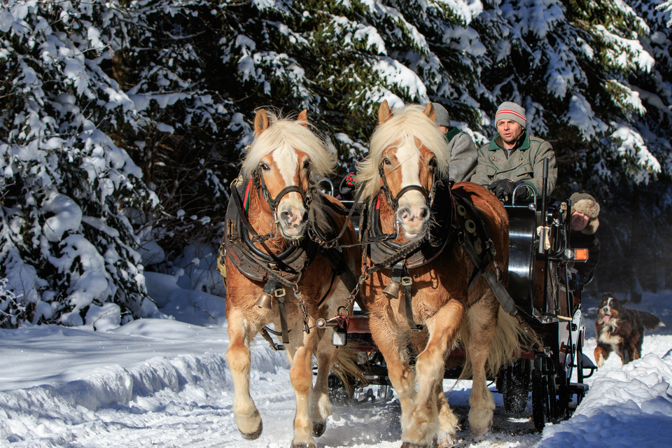 Abelhof - Fam. Stocker - Impression #1 | © Martin Huber