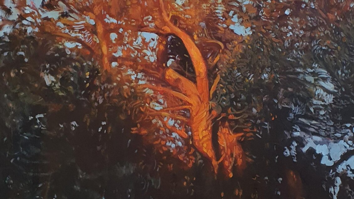 Ein Baum mit orangefarbenen Blättern vor einem klaren Himmel. Die Farben wirken warm und einladend. | © Jakob Brandstätter