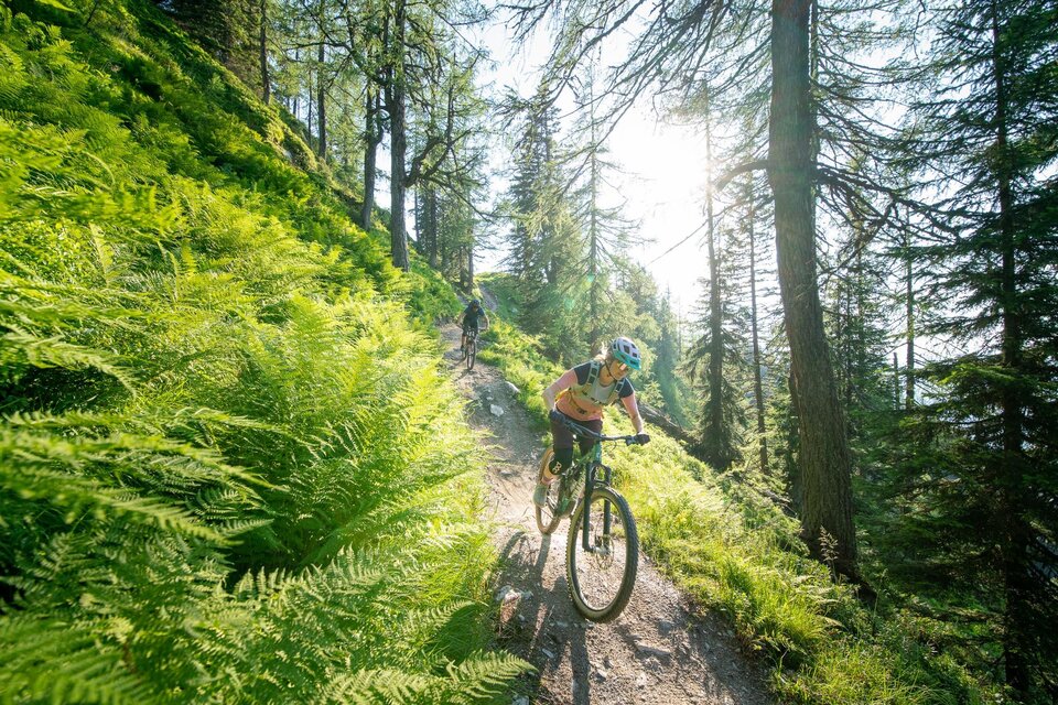 Bikecenter Schladming - Impression #1 | © Christoph Oberschneider