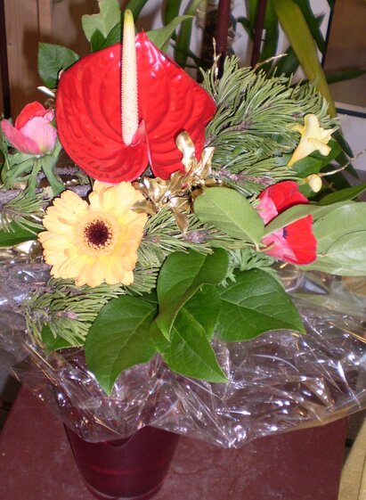 Symbolfoto | © Blumen Sissy