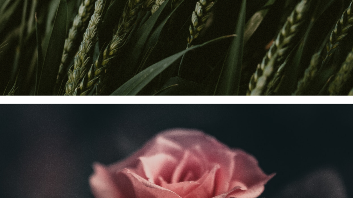 Angebot 06 | © Die Moserin