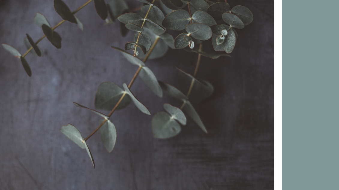 Angebot 01 | © Die Moserin
