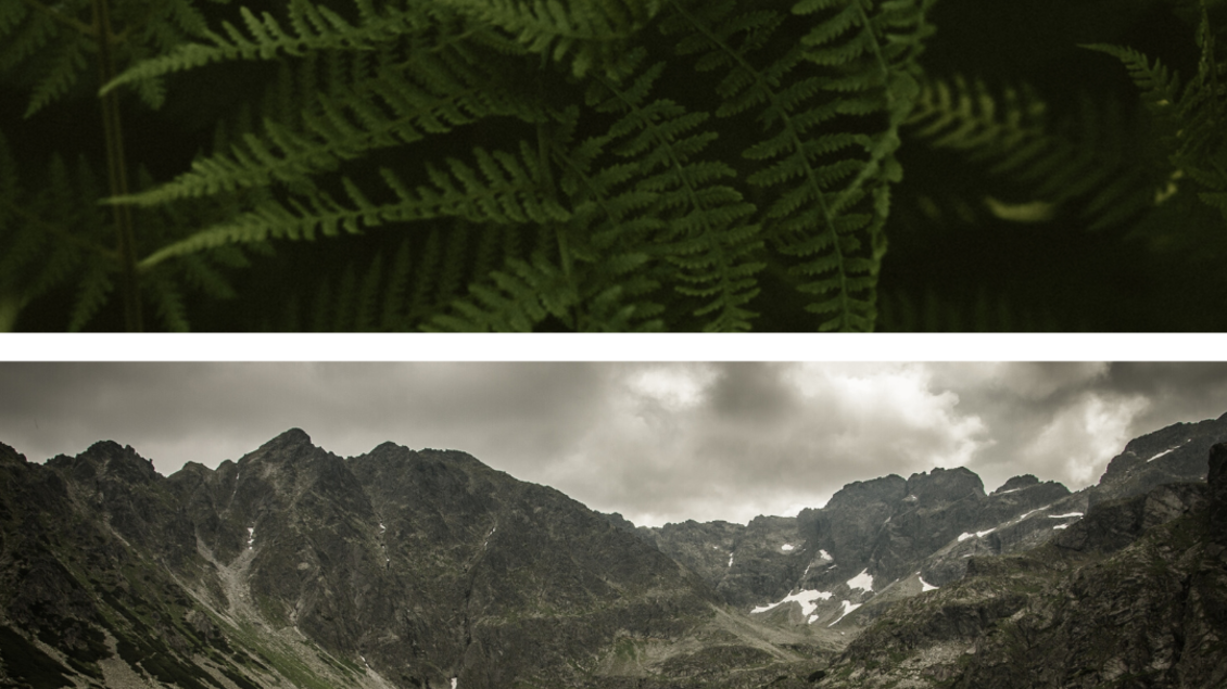 Angebot 04 | © Die Moserin