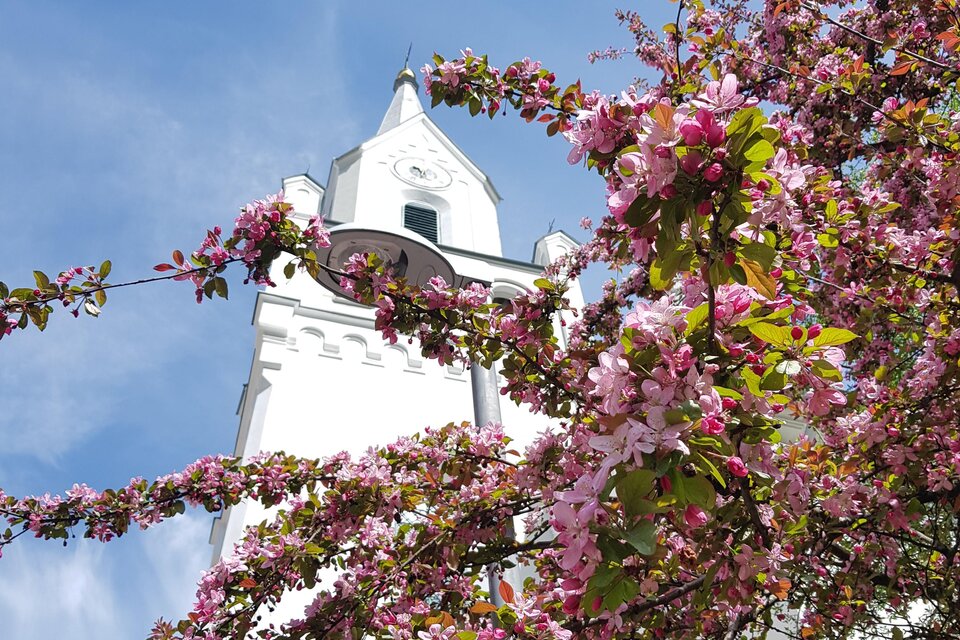 Evangelische Kirche Schladming - Impression #1 | © Gerhard Pilz