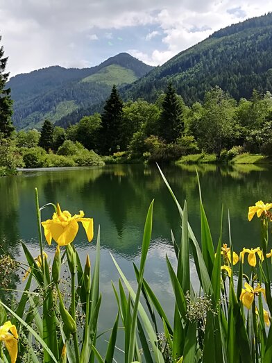Ein ruhiger See umgeben von grünen Bergen und Bäumen. Gelbe Schwertlilien blühen im Vordergrund.