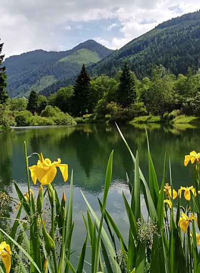 Ein ruhiger See umgeben von grünen Bergen und Bäumen. Gelbe Schwertlilien blühen im Vordergrund.
