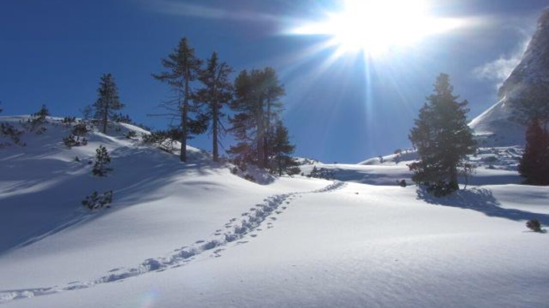 Glösalm Winter | © Glösalm