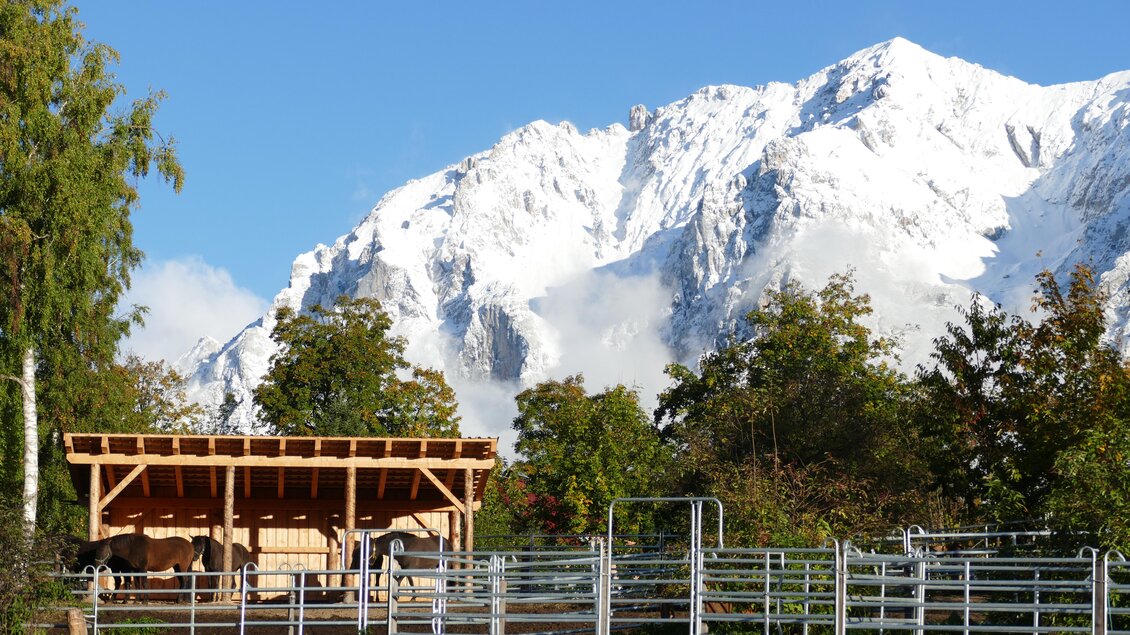 Pferdestall mit Dachstein | © Huzulengestüt - Irene Zimmermann