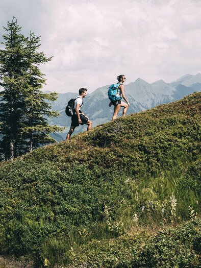 Two people are hiking on a green hill in the mountains. In the background, tall trees and a picturesque mountain landscape can be seen. | © Armin Walcher