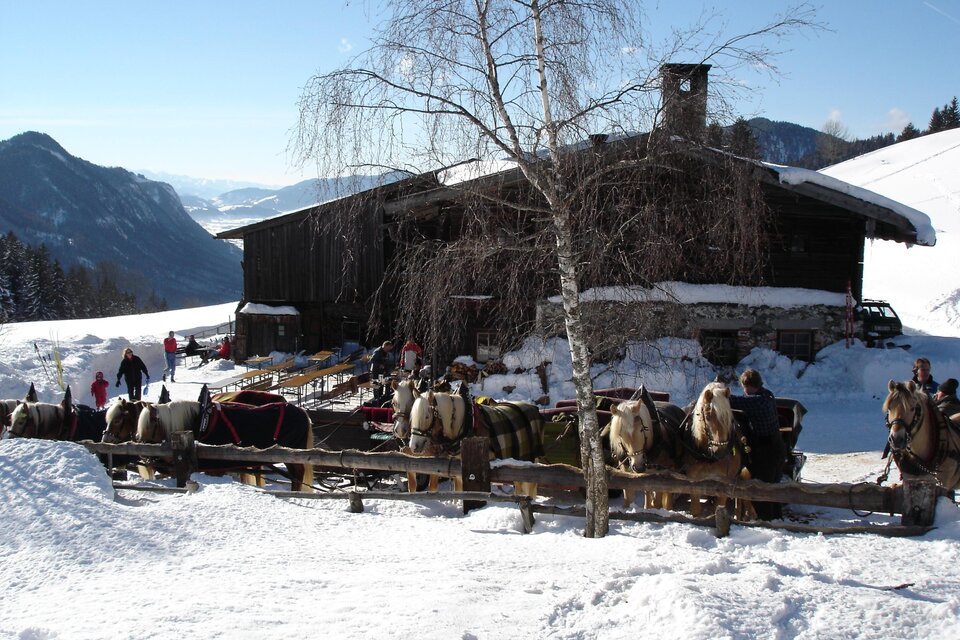 Oberhorner-Pferdeschlittenfahrten - Impression #1 | © Oberhorner