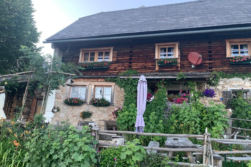 Oberkogler-Alm - Impression #1 | © Oberkogler-Alm