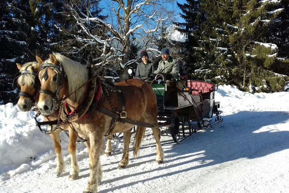 Horse Drawn Sleigh and Carriage Rides Steinbauer - Impression #1 | © Steinbauer