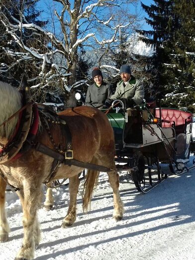 Pferdeschlitten- und Kutschenfahrt im Winter | © Steinbauer
