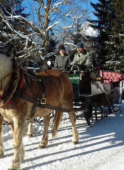 Pferdeschlitten- und Kutschenfahrt im Winter | © Steinbauer