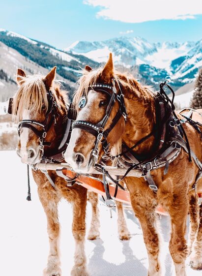 Pferdeschlitten inmitten der Schladminger Winterla | © Goglhof